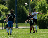 Sports/Action