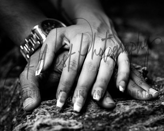 2D6A9029